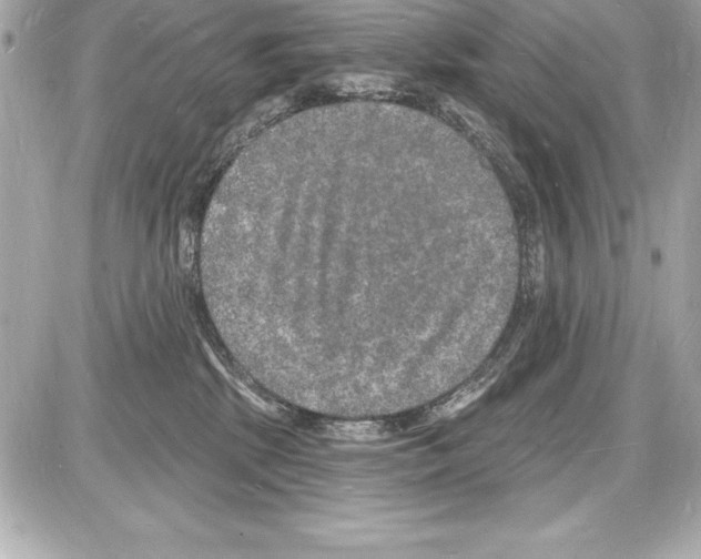 X0000085280281200704092214