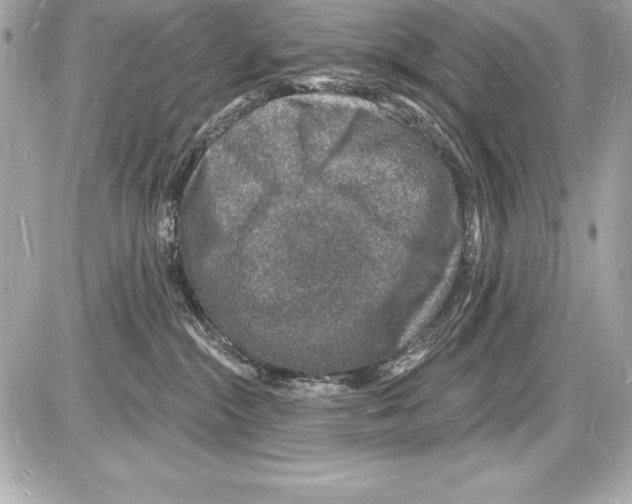 X0000085280284200704092214