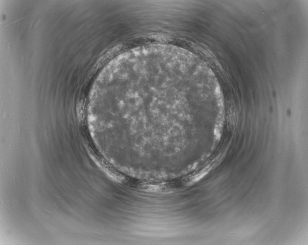 X0000085280285200704092214