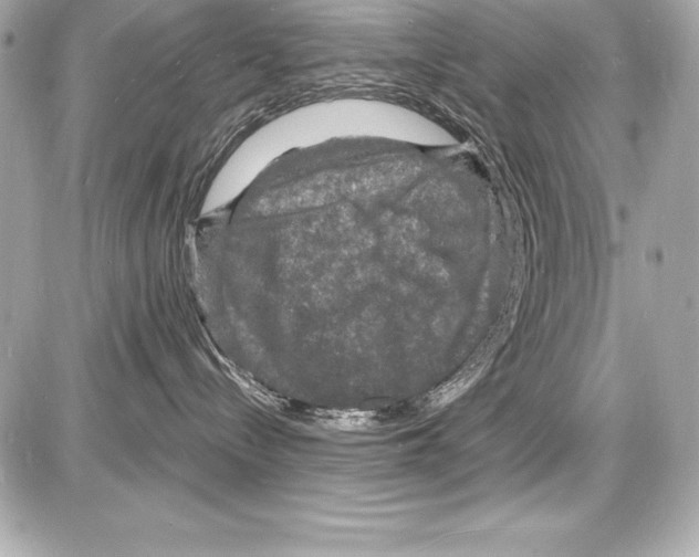 X0000085280288200704092214