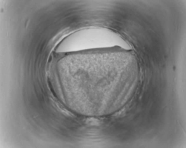 X0000085280290200704092213