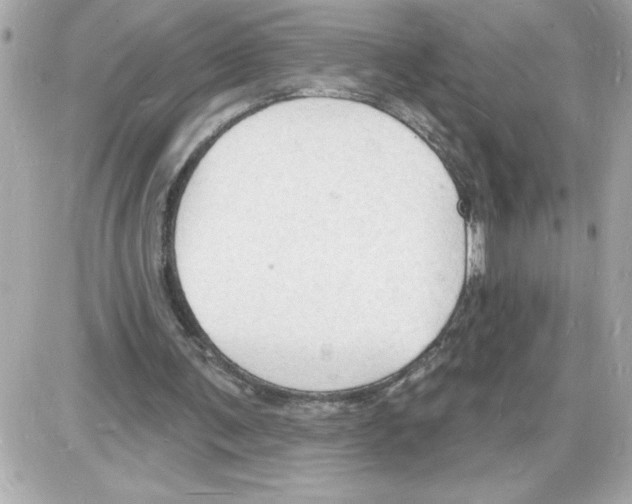 X0000085280291200704092213