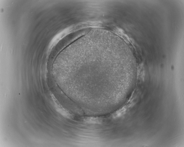 X0000085280293200704092213