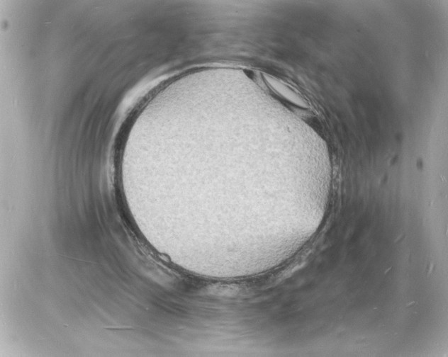 X0000085280294200704092213