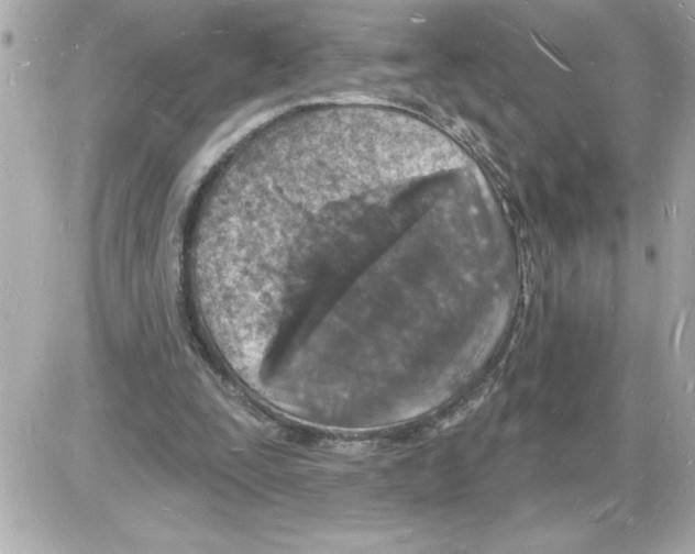 X0000085280295200704092213