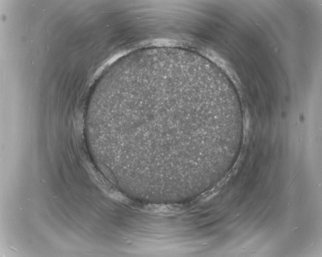 X0000085280297200704092213