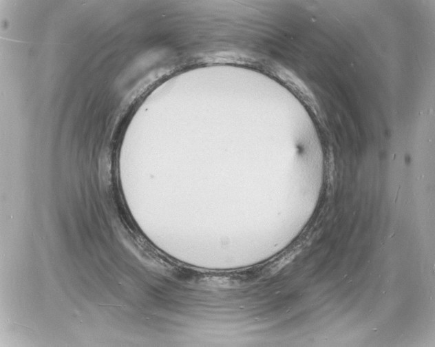 X0000085280298200704092213