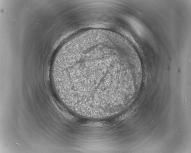 X0000085280299200704092213