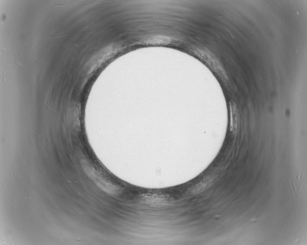 X0000085280300200704092213