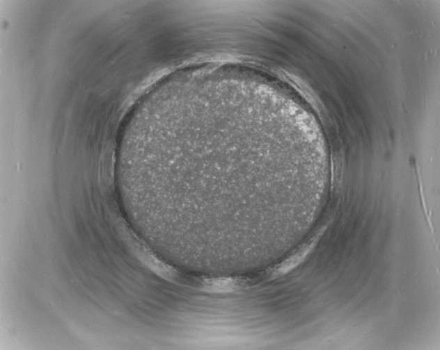 X0000085280301200704092213