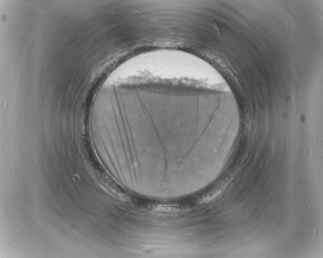 X0000085280303200704092213