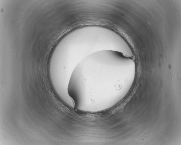 X0000085280305200704092213