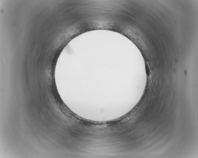 X0000085280306200704092213