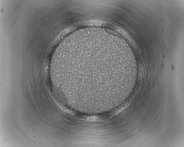 X0000085280309200704092213