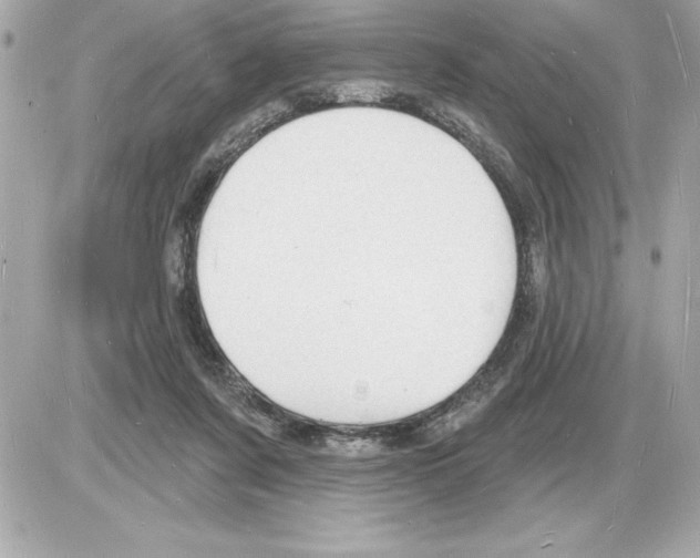 X0000085280311200704092213