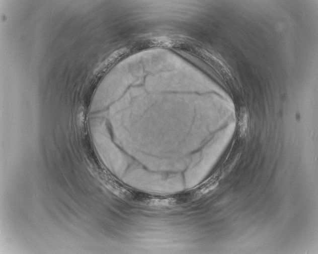 X0000085280314200704092213