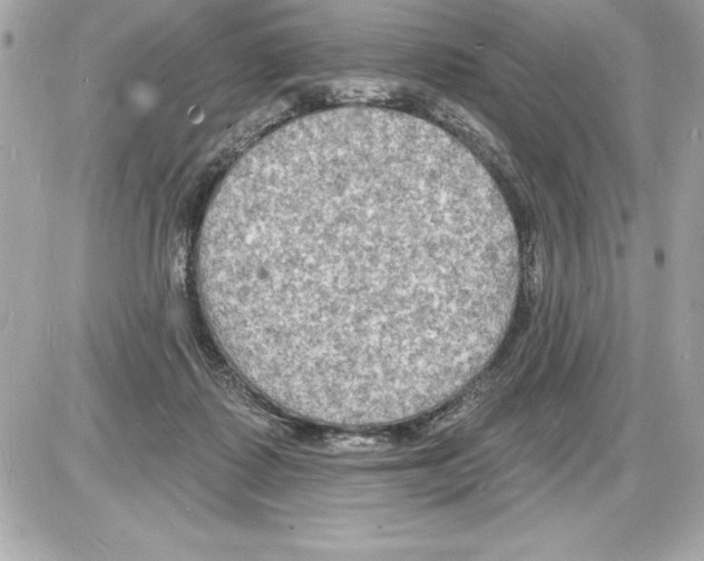 X0000085280315200704092213