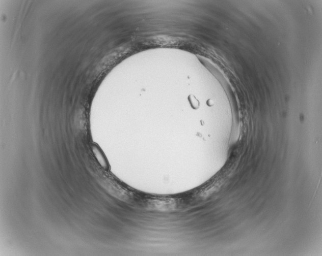 X0000085280317200704092213