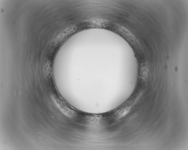 X0000085280318200704092213