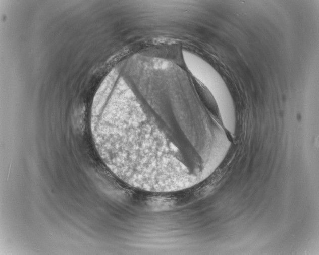 X0000085280319200704092213