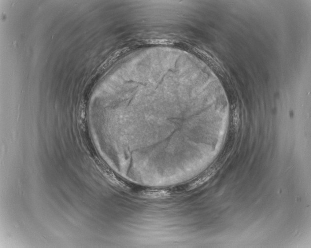 X0000085280322200704092213