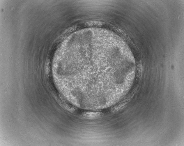 X0000085280323200704092213