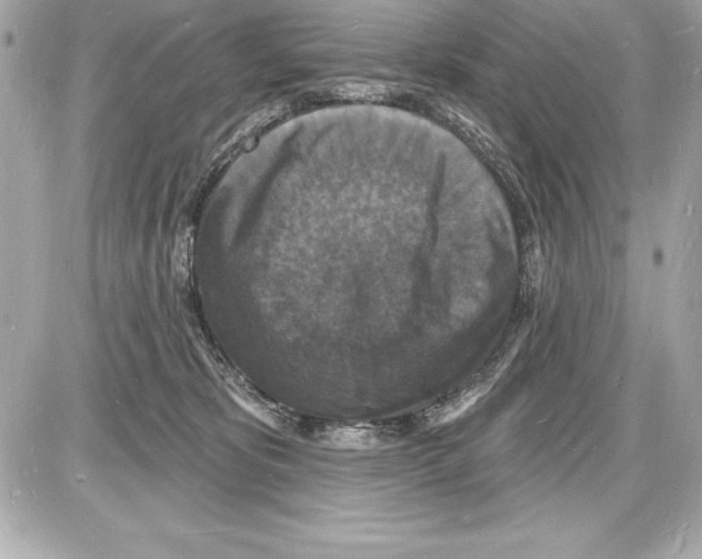 X0000085280325200704092213