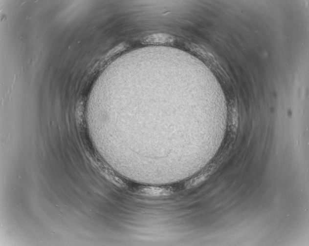 X0000085280326200704092213