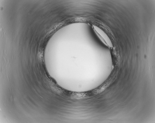 X0000085280329200704092213