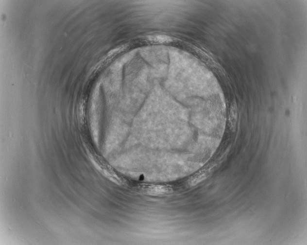 X0000085280330200704092213