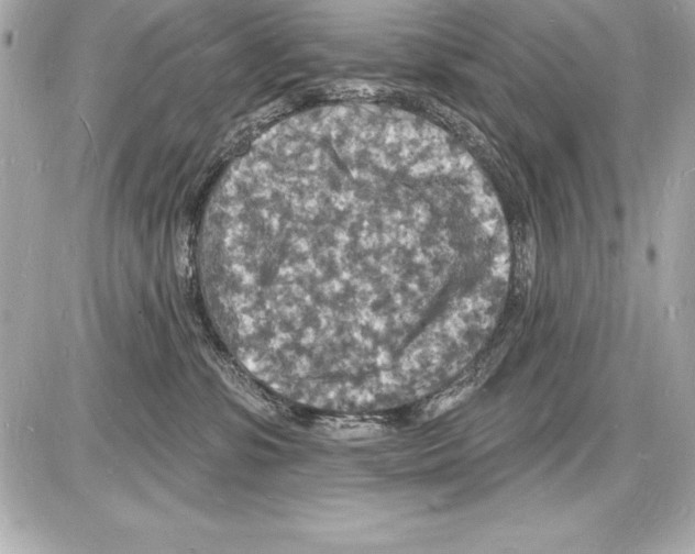 X0000085280331200704092213