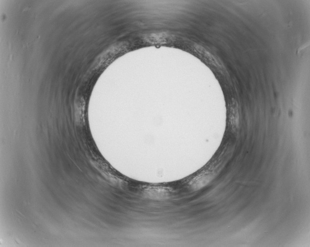 X0000085280332200704092213