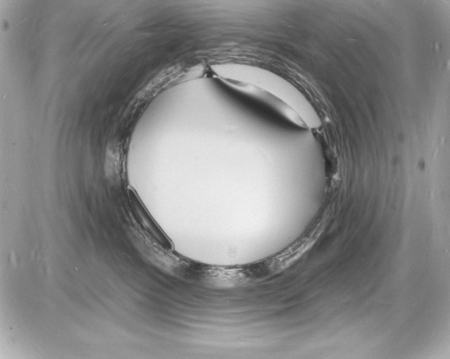 X0000085280333200704092213