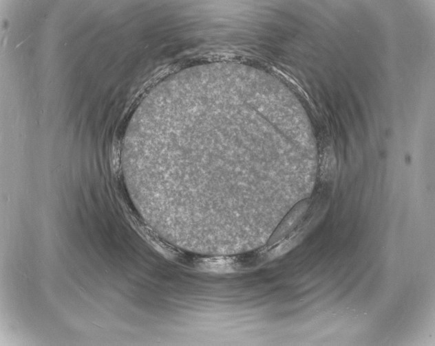 X0000085280335200704092213