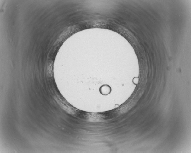 X0000085280336200704092213