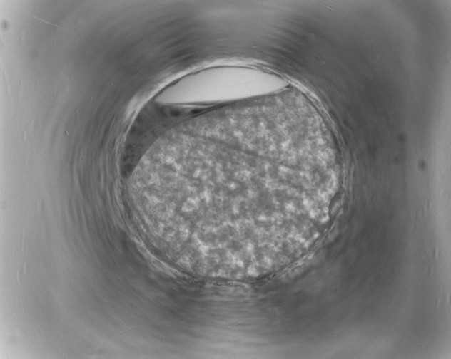 X0000085280337200704092212