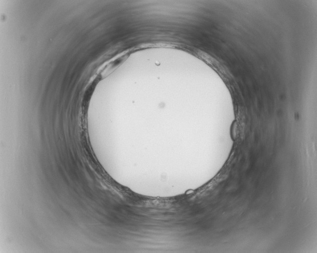 X0000085280338200704092212