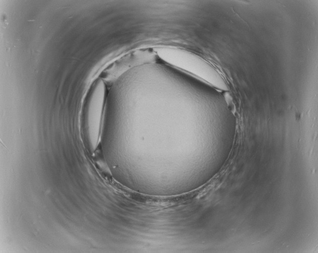 X0000085280340200704092212