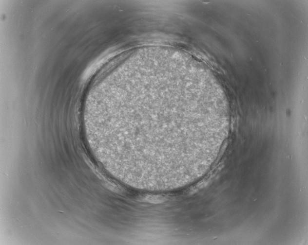 X0000085280341200704092212