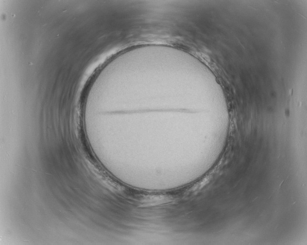 X0000085280342200704092212