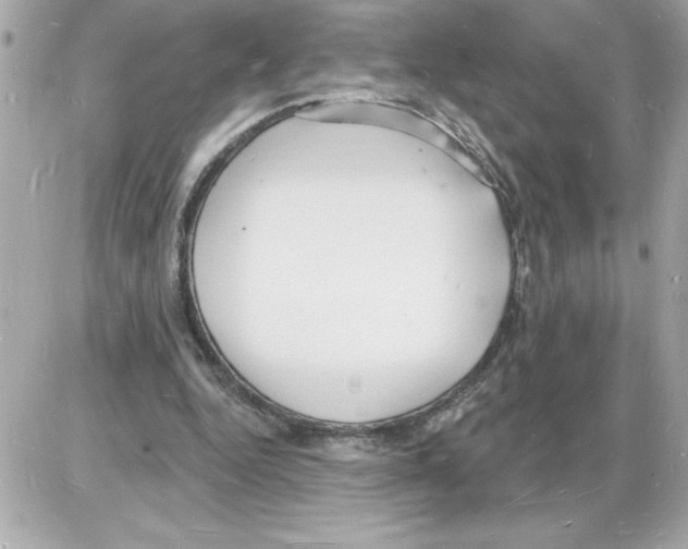 X0000085280344200704092212