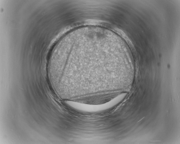 X0000085280346200704092212