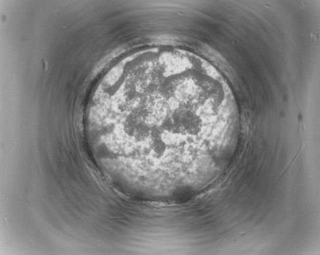 X0000085280347200704092212