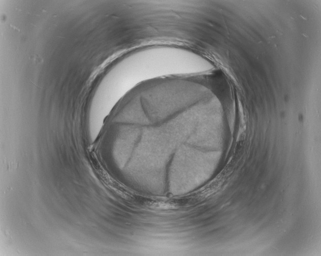 X0000085280348200704092212