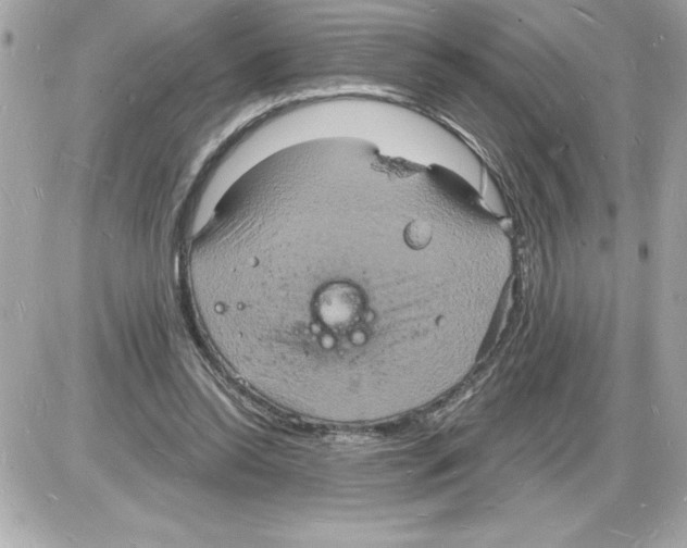 X0000085280350200704092212