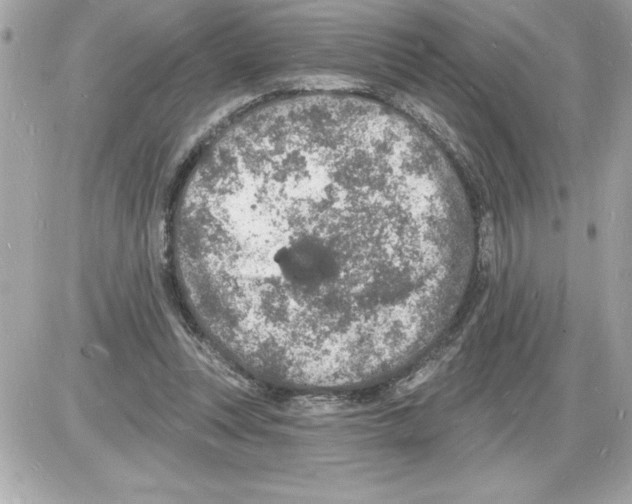 X0000085280351200704092212