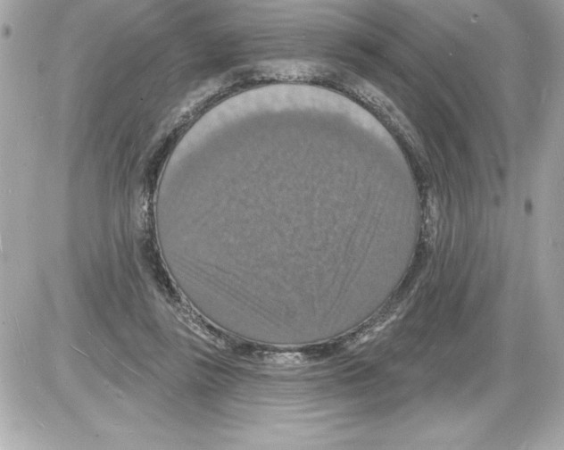 X0000085280355200704092212