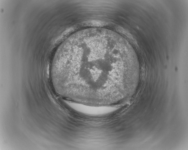 X0000085280358200704092212