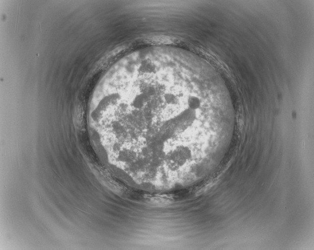 X0000085280359200704092212