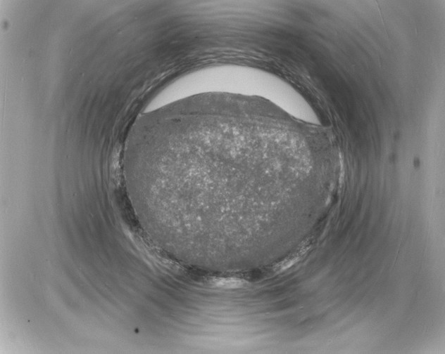 X0000085280360200704092212